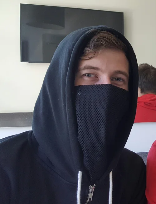 Alan Walker portrait
