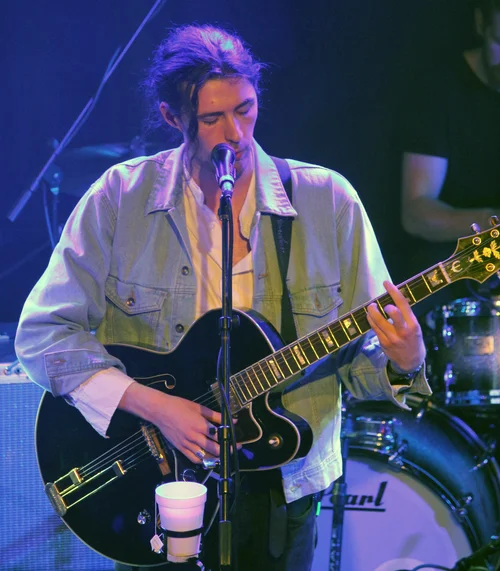 Hozier portrait