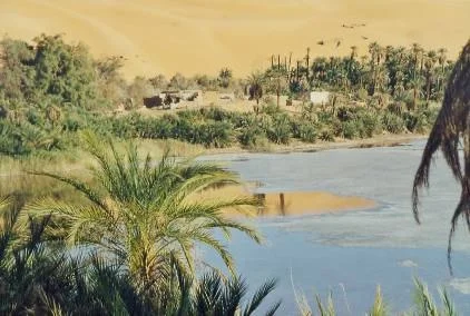 Oasis portrait