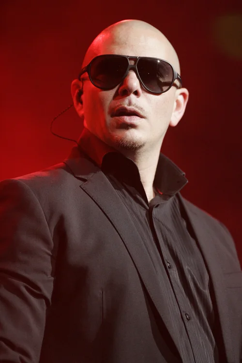 Pitbull portrait
