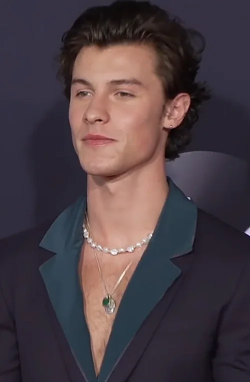 Shawn Mendes portrait