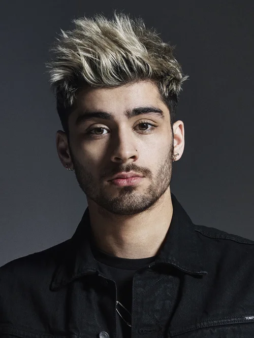 ZAYN portrait